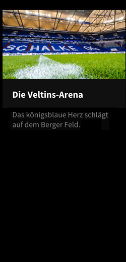 Veltins Arena - stadion-schalke04